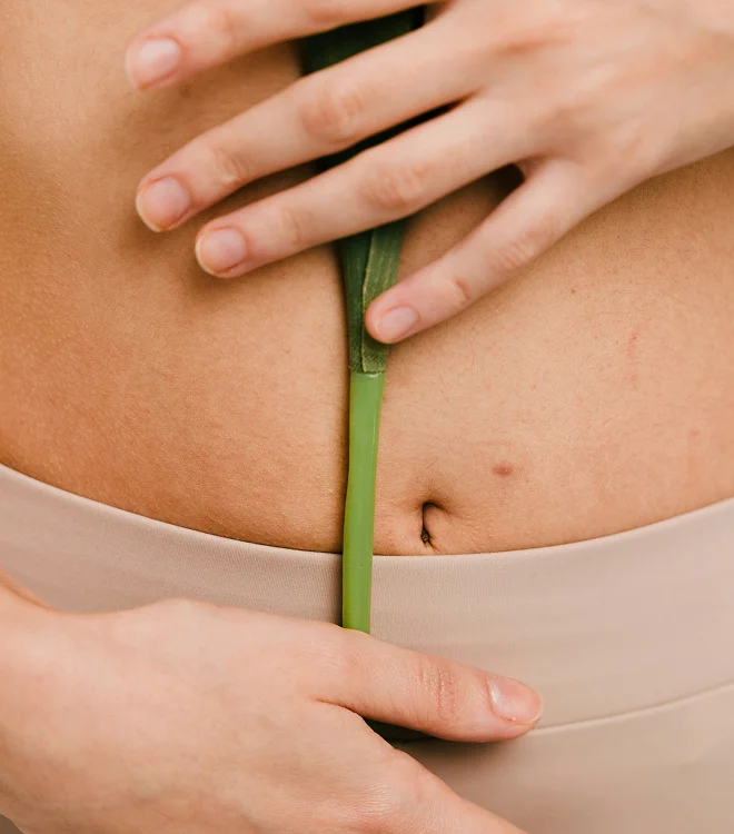 Close-up of a person’s hands holding a green plant stem against their bare stomach, with part of their beige clothing visible at the bottom of the image, capturing a moment that highlights natural health and gentle aesthetics.